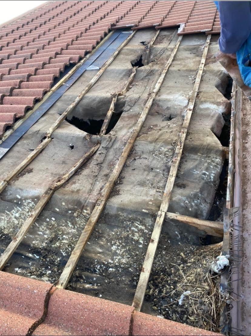 Damaged roof tiles showing signs of wear and weather damage on a Yorkshire property